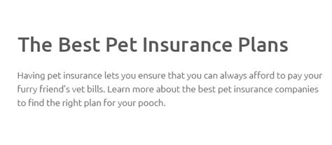 instant pet insurance no waiting period.insquoteslk.com.